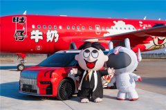 过年开“旺车”?大型豪华汽车推荐新思路,看